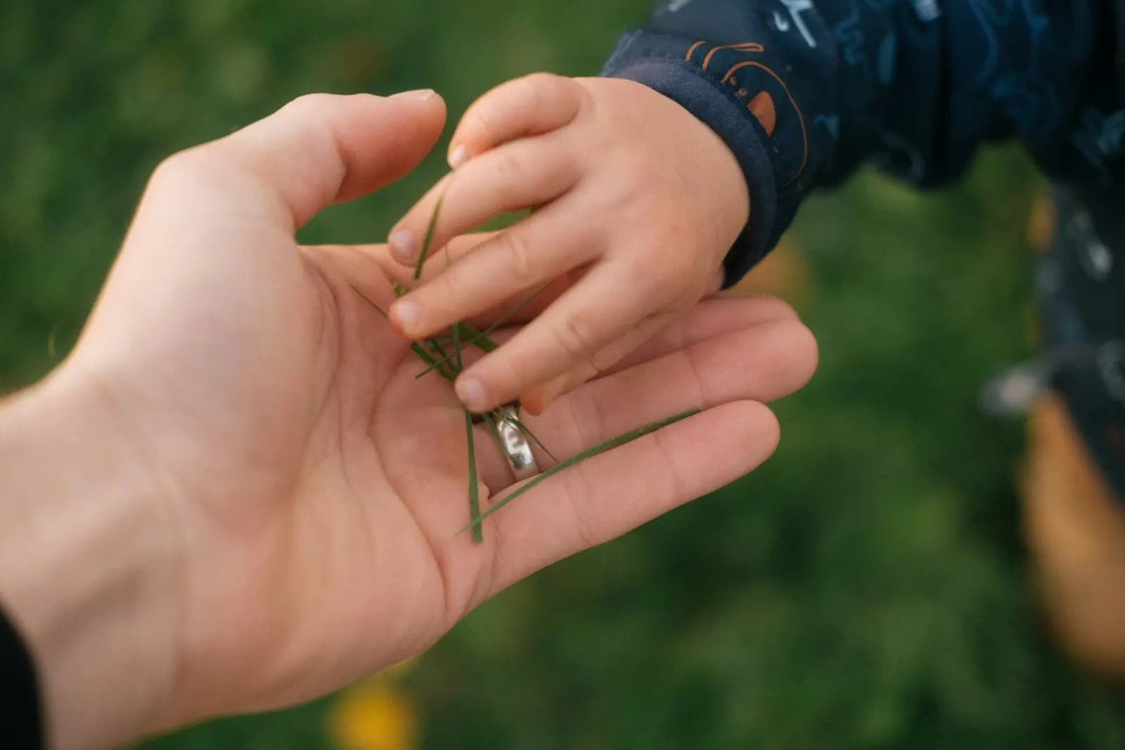 Eine Kinderhand hält eine Erwachsenenhand auf einem Weg im Freien